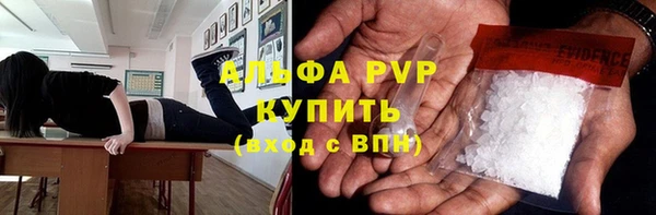 таблы Бородино