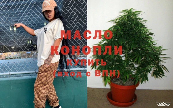 таблы Бородино